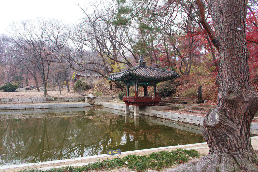 In Search of Beauty. A Stroll through Korea's Secret Garden